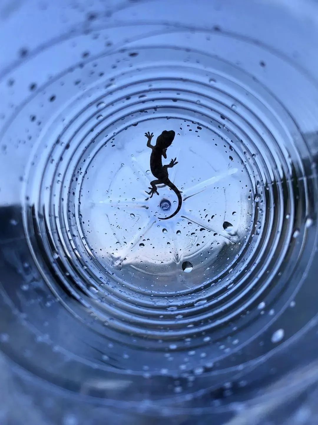 大家用手机拍出过什么好看的照片,赞别人的照片拍摄得好的句子