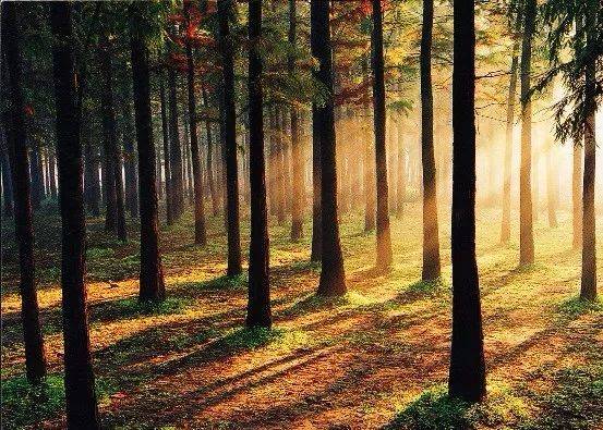 上海旅游攻略必去景点大全,上海玩耍景点推荐