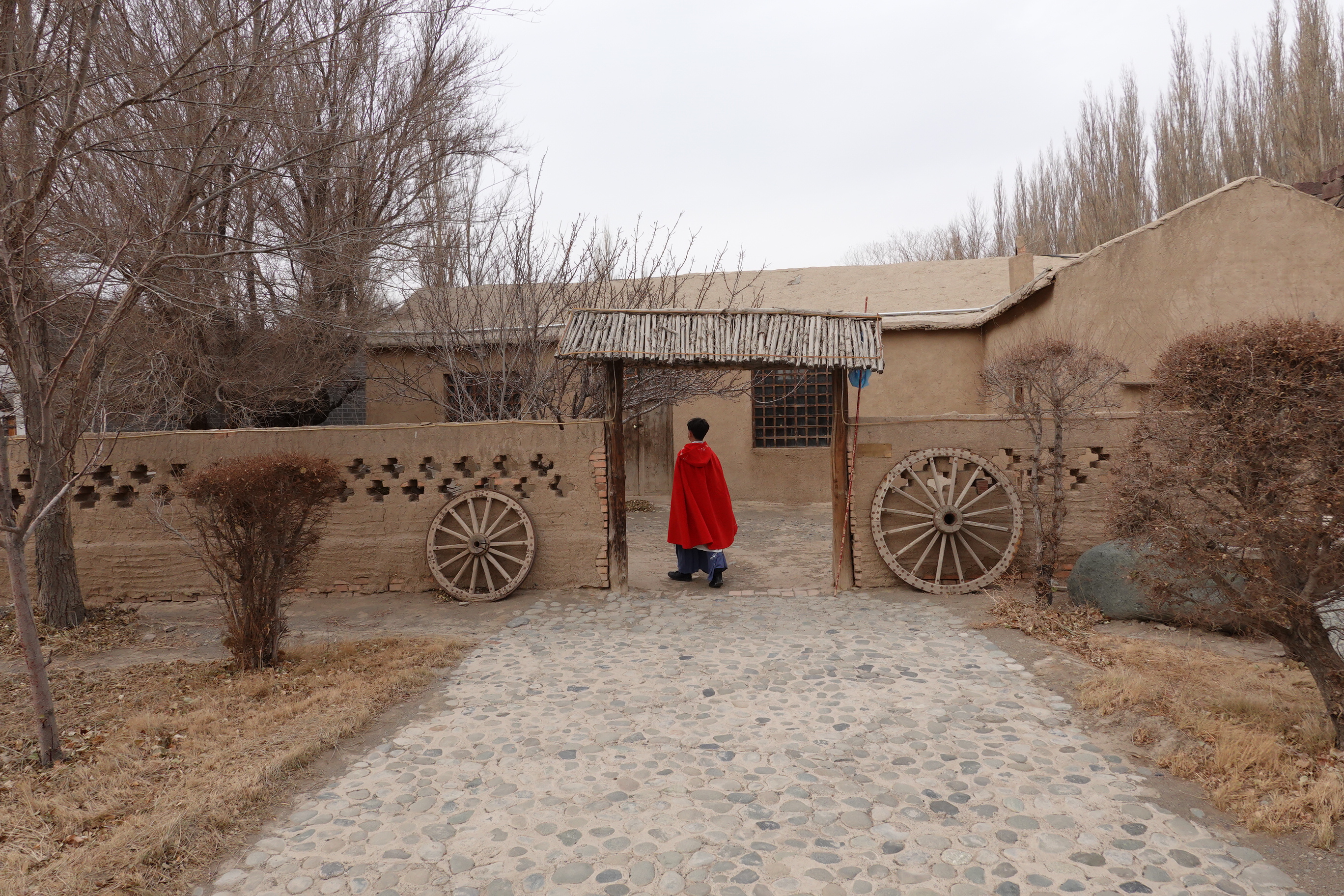 王洛宾写的达坂城姑娘美如画,王洛宾进新疆