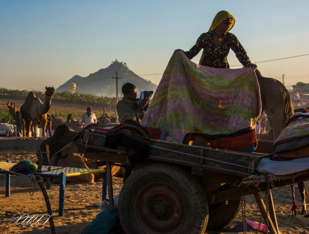 津门网徐屹：印度骆驼节上的人们（上）