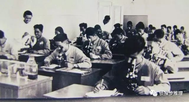 八零后的农民,八零后春耕记忆