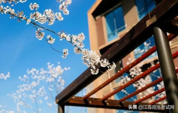 泰州职业技术学院资料,泰州职业学院有什么