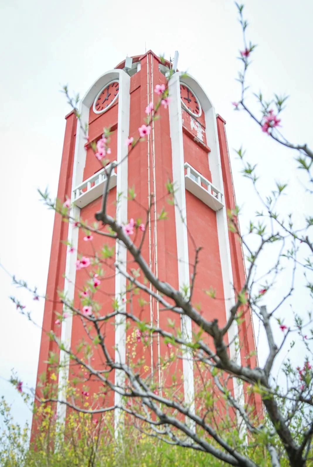 潍坊理工学院值得去吗,点评潍坊理工学院