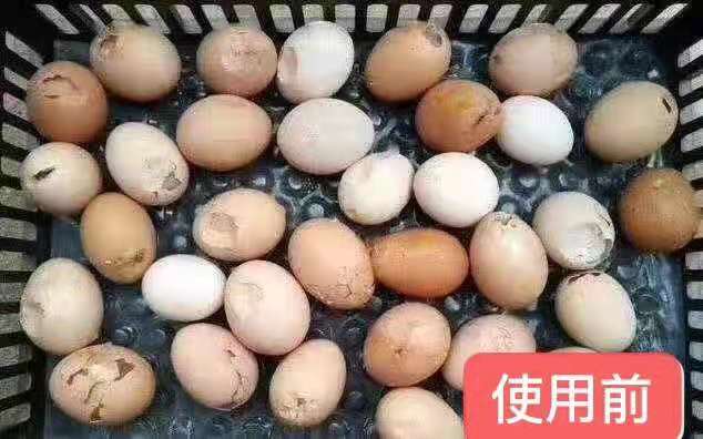 下软壳蛋最快的方法,常下软壳蛋怎么办