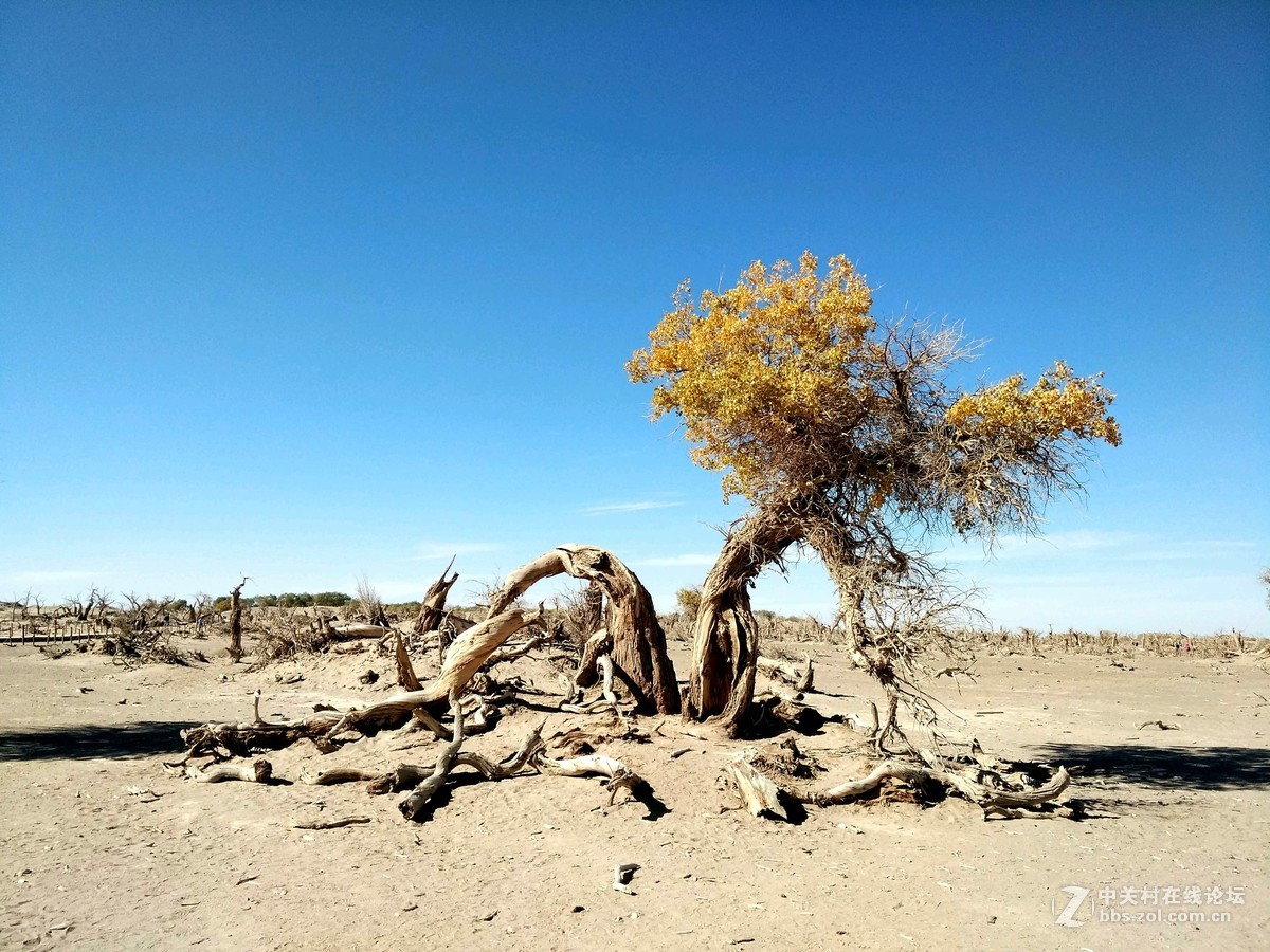 什么样的轮胎适合长途自驾游,什么轮胎比较合适自驾游