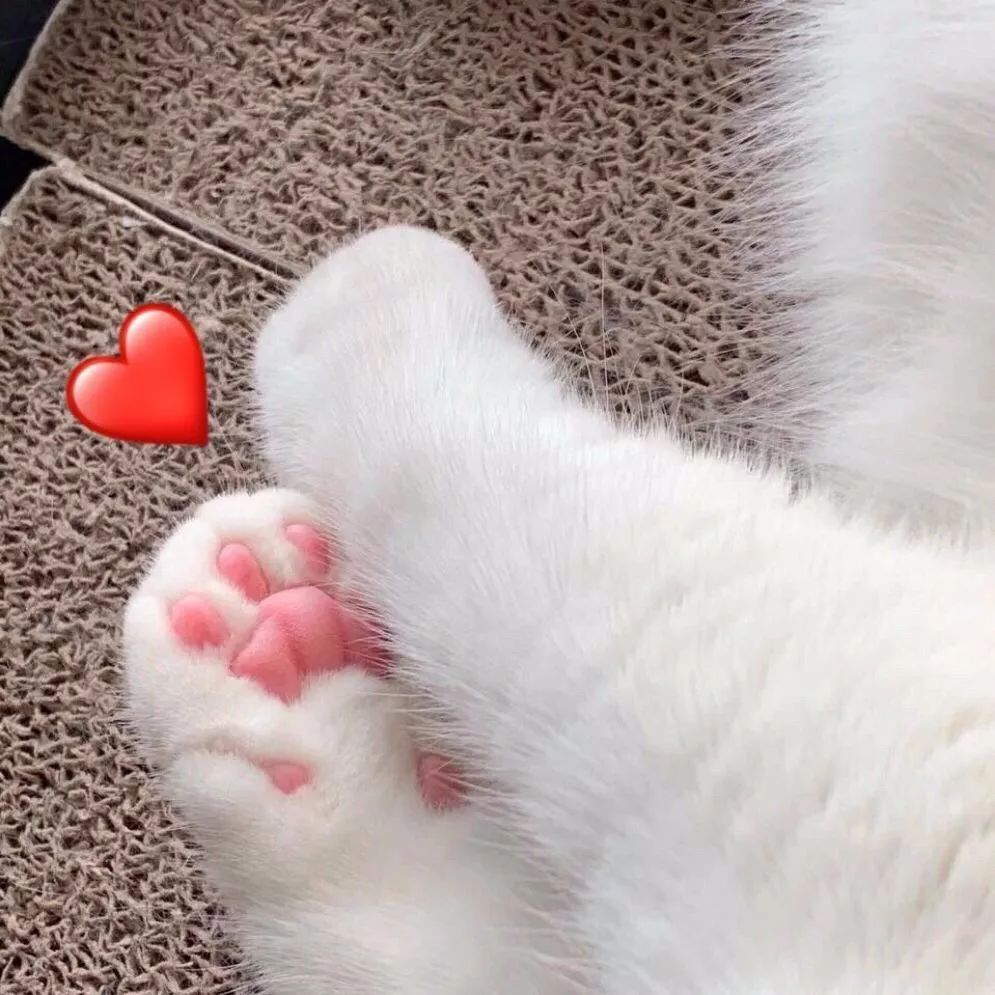 家里的袖套自己做，实用简单又好干活