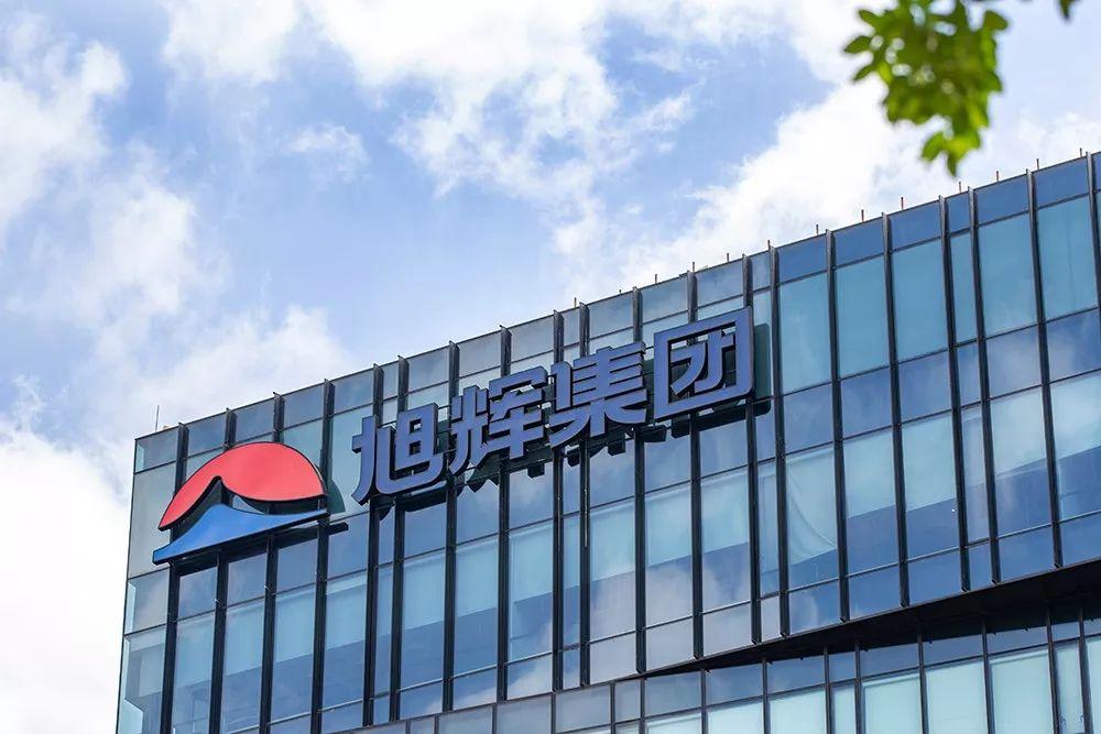 旭辉杨欣简历,旭辉杨欣