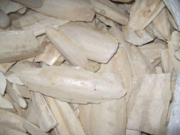 鹦鹉鸟喙凹陷怎么回事,鹦鹉嘴变形了怎么处理