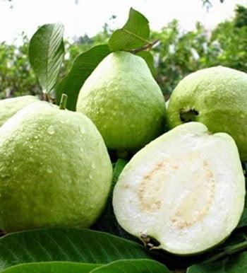 好吃到惊艳的特色攀枝花水果,攀枝花现在当季水果有哪些