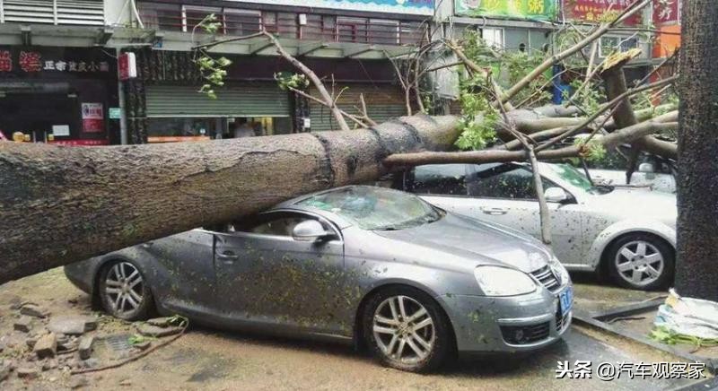 台风天汽车淹了保险赔吗,台风造成的车损保险公司会理赔吗