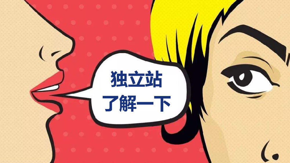 干货|一篇文章读懂独立站应该怎么下手!