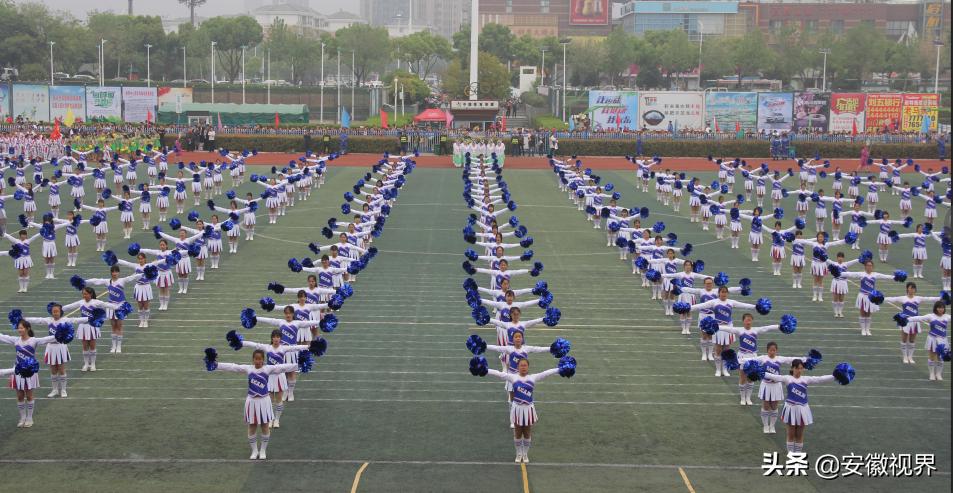 安徽省第十届茉莉花全民健身大赛,安徽第十届茉莉花大赛