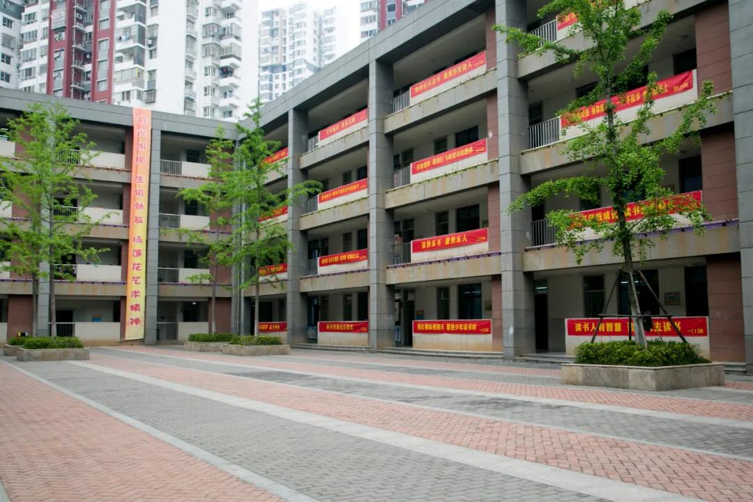 南京这所小学“弯道超车”，做了什么？