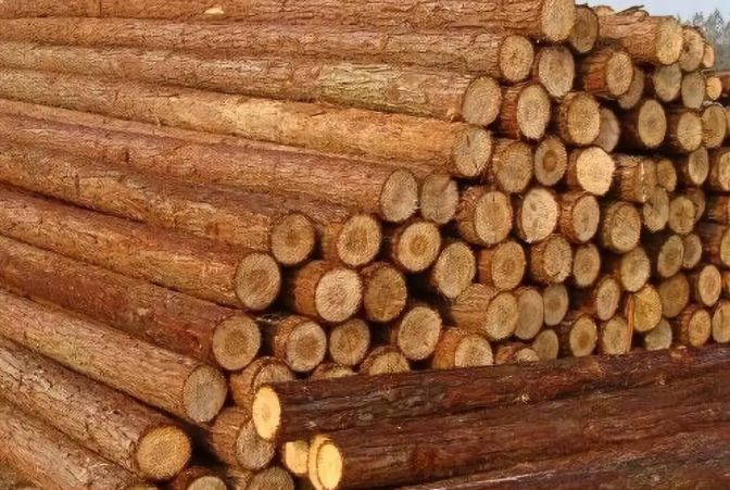 关于柴的来历,几种常用木材的区别