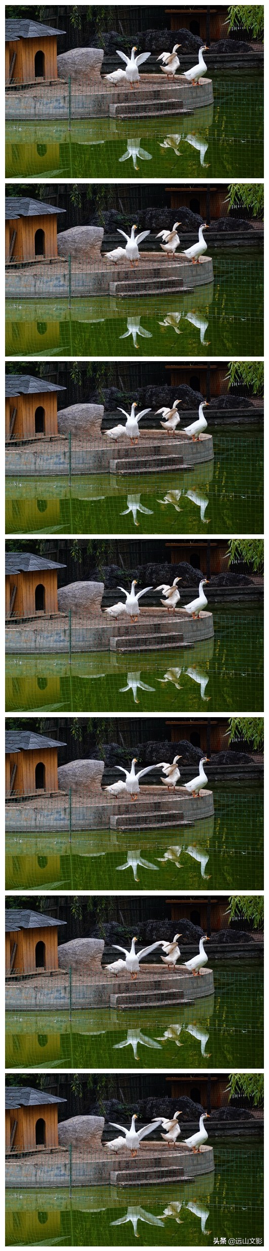 索尼黑卡二怎么拍,索尼黑卡2大光圈拍视频