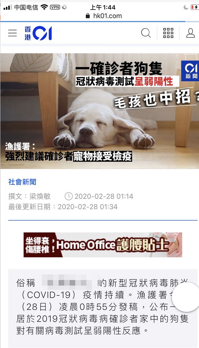 香港确认狗狗带有新型病毒,香港确诊患者的宠物狗测出弱阳性