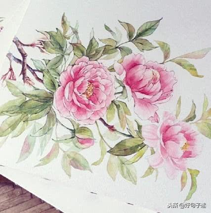 最适合qq签名的句子,适合做qq个性签名的句子8个字