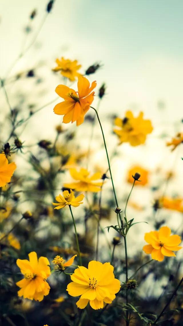 毁三观的女孩到底有多恶心,让人觉得恶心的女生