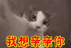 向全世界安利江西南昌,向世界安利南昌