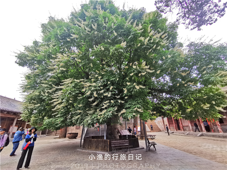 河南有一座千年古刹,河南千年以上道观