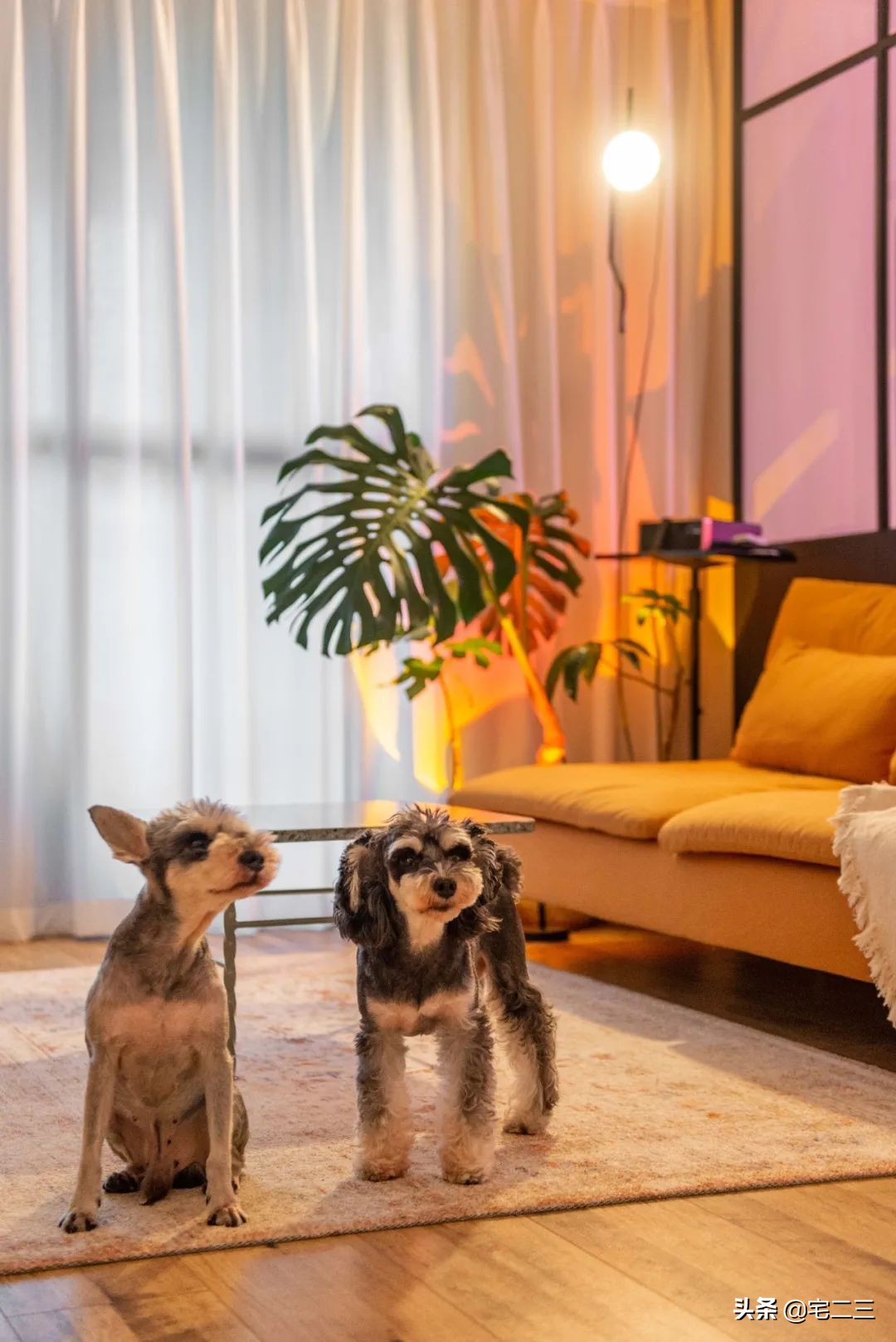 霓虹灯下，他们的“摇滚之家”