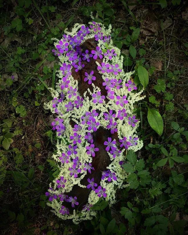 葬礼当天，她成为了四个孩子的“后妈”，网友：这是童话故事吧