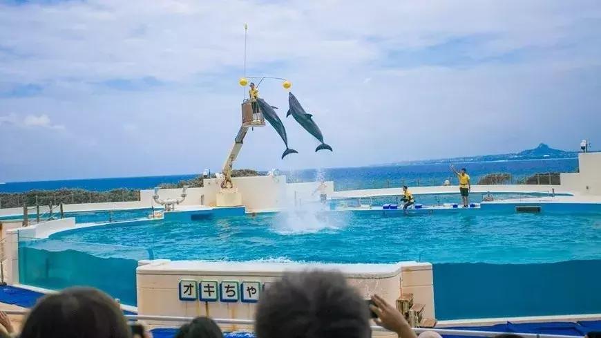 恋恋冲绳丨有一种海水的蓝，叫做“果冻蓝”