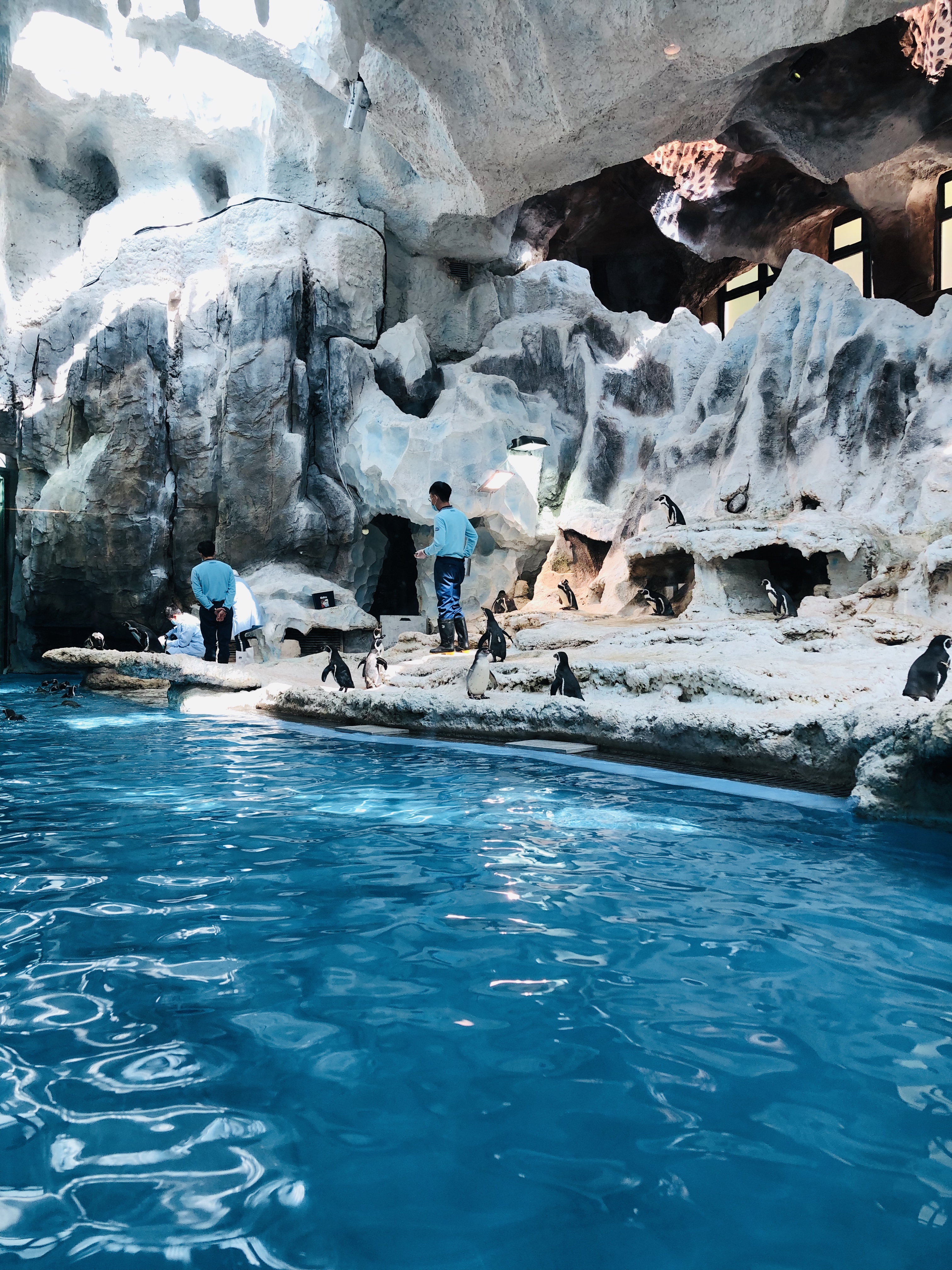 寒假带孩子去长隆玩什么,长隆寒假旅游攻略