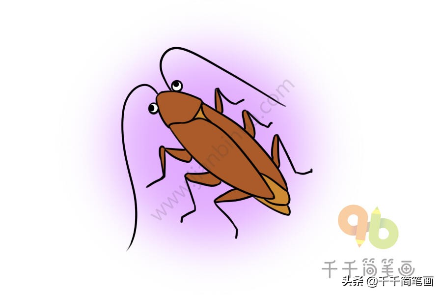 昆虫简笔画和介绍,昆虫简笔画及简介