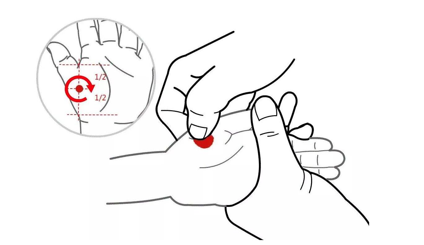 人身体里住着一条鱼,人身体上的鱼