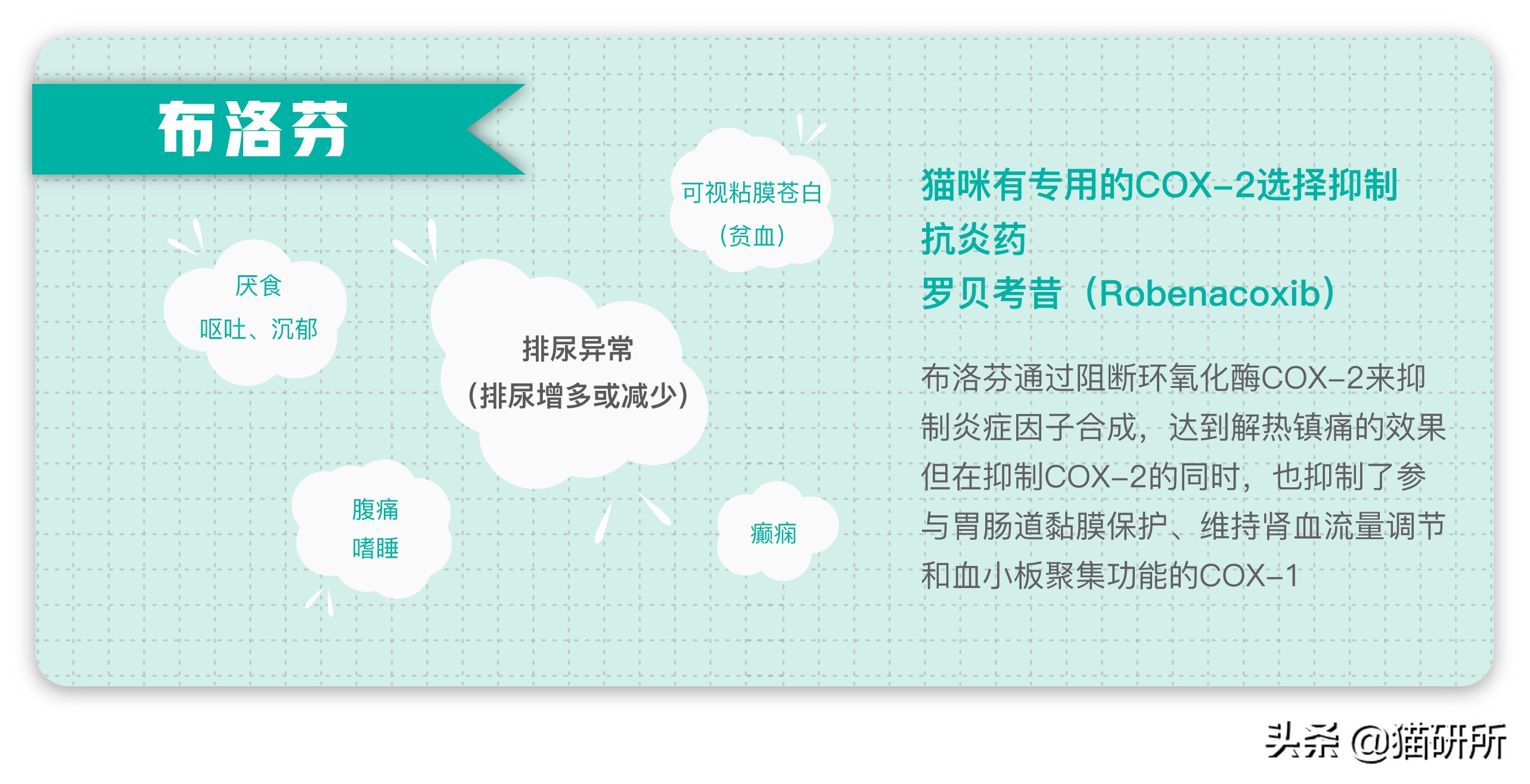 有人给猫下毒会不会有毒,猫能吃人用感冒药吗