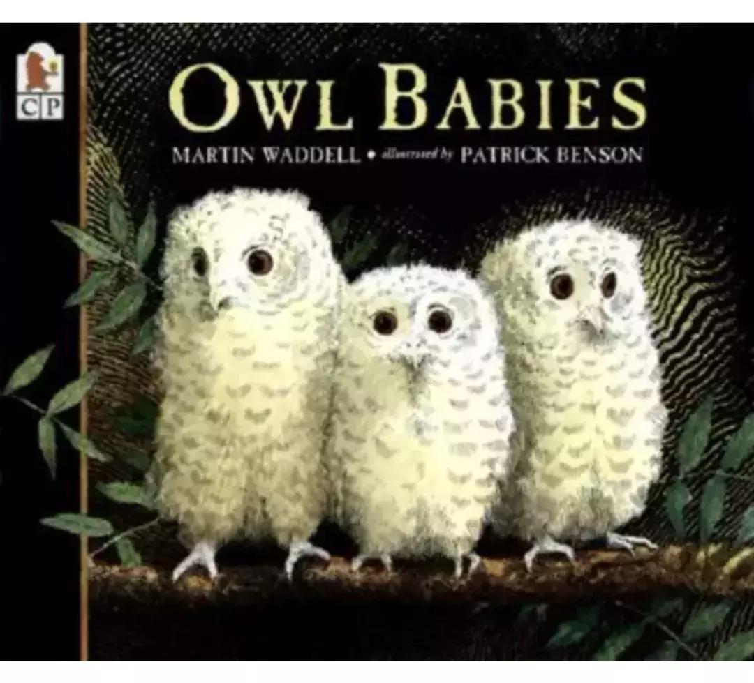 适合8岁0基础孩子看的英语绘本,3-15岁英文绘本阅读书单