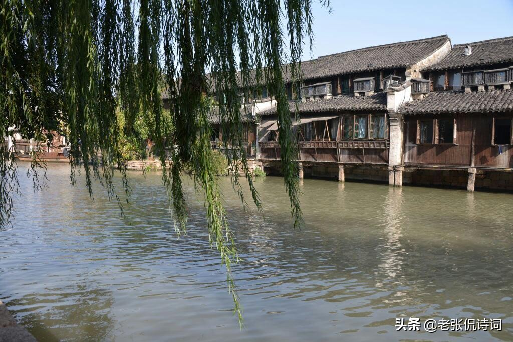 唐朝咏柳诗,经典古诗咏柳诗