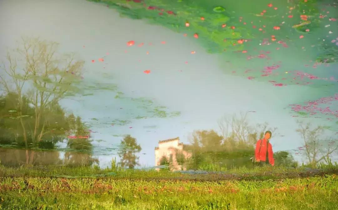 一个徽州惊艳全世界,徽州凭什么惊艳世界