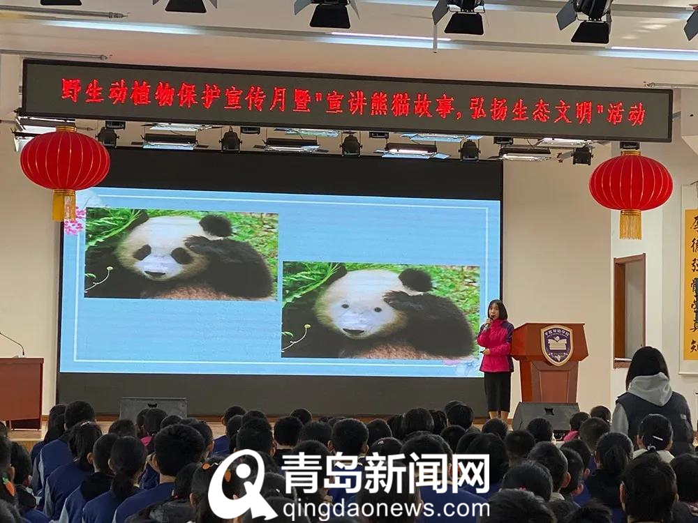 平度双语学校：青岛牛校“炼成记”！课外补习全“清零”，中考完胜皆学霸