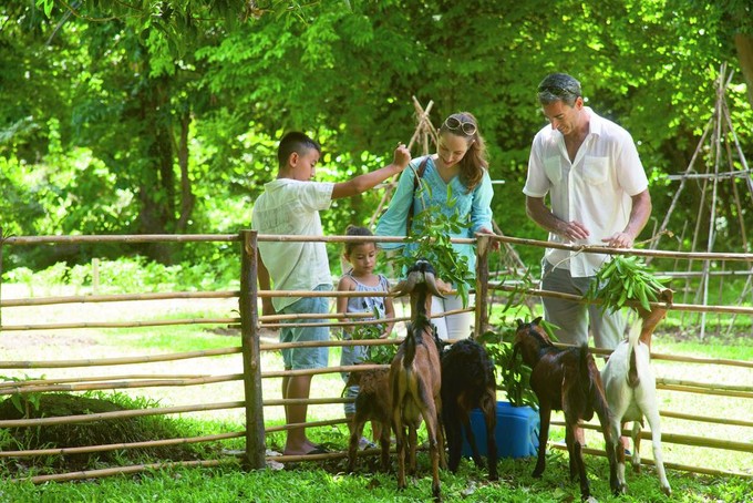 苏梅岛第六感酒店,苏梅岛最好的酒店