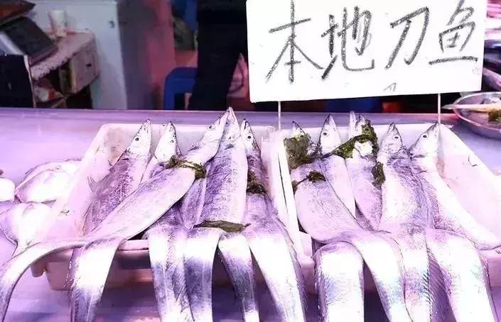 秦皇岛休渔期的海鲜哪里来,秦皇岛休渔期还可以出海吗