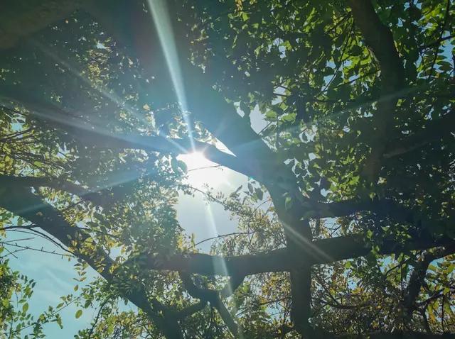 高考语言文字运用题之压缩题,高考语言文字运用之压缩语段