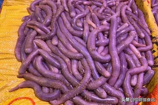 湛江海鲜口碑,湛江海鲜排档十大排行