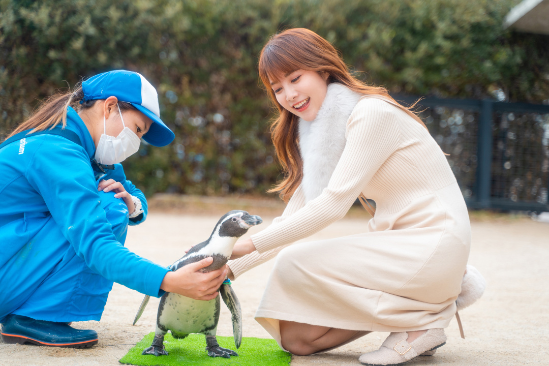 日本九州|一个被温泉唤醒的秘境，超超超小众的日本旅行目的地