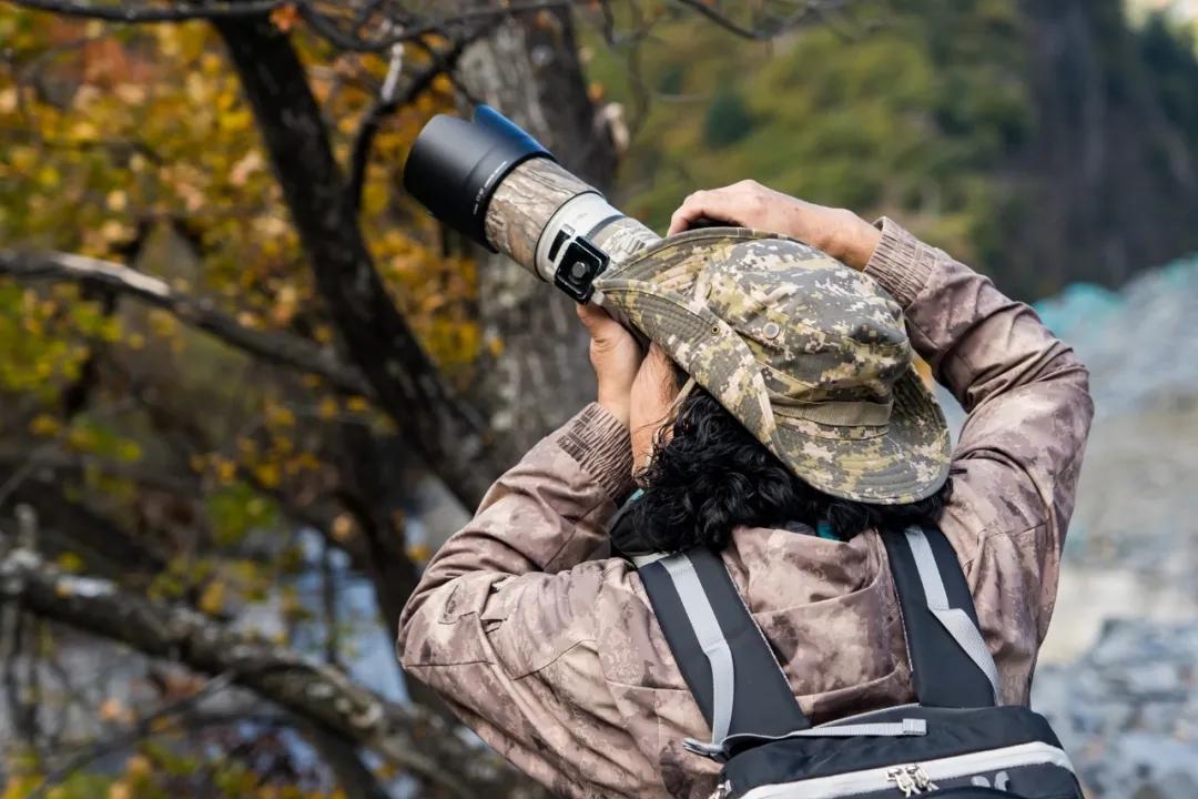 绫充簹缃楅湼鐜嬪北鏃呮父瑙嗛,绫充簹缃楅湼鐜嬪北鍏ㄦ櫙