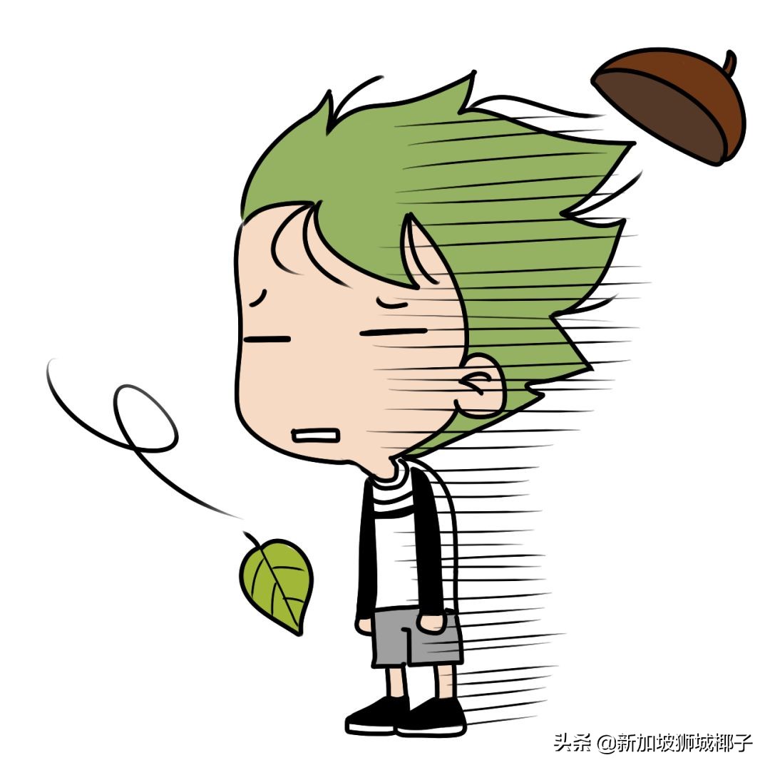 新加坡计算机行业年终奖,新加坡行业薪资排行榜