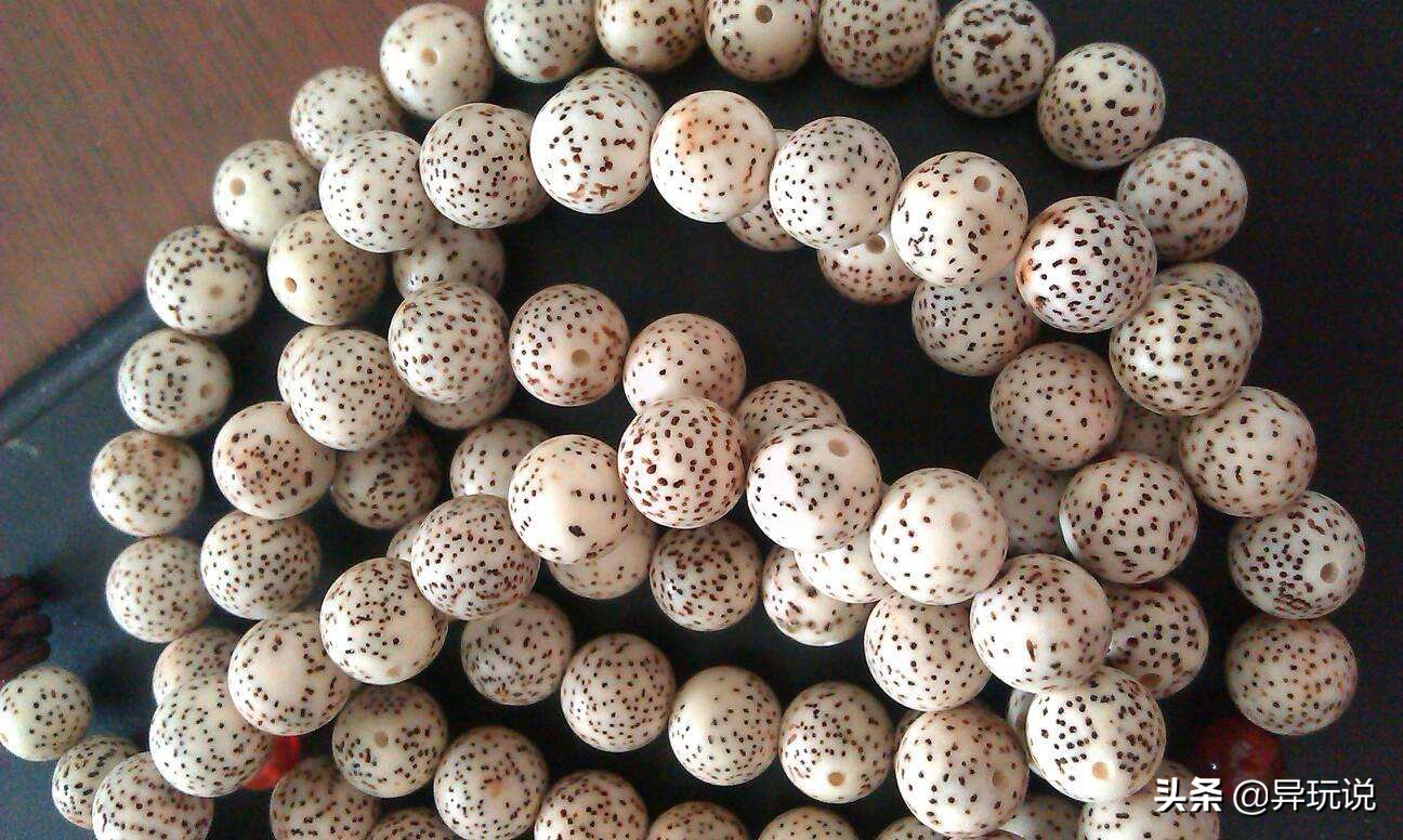 新手星月菩提适合买多大的,星月菩提4大禁忌