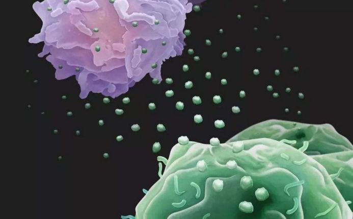 肿瘤介入术后饮食指导,肿瘤切除手术以后的饮食安排