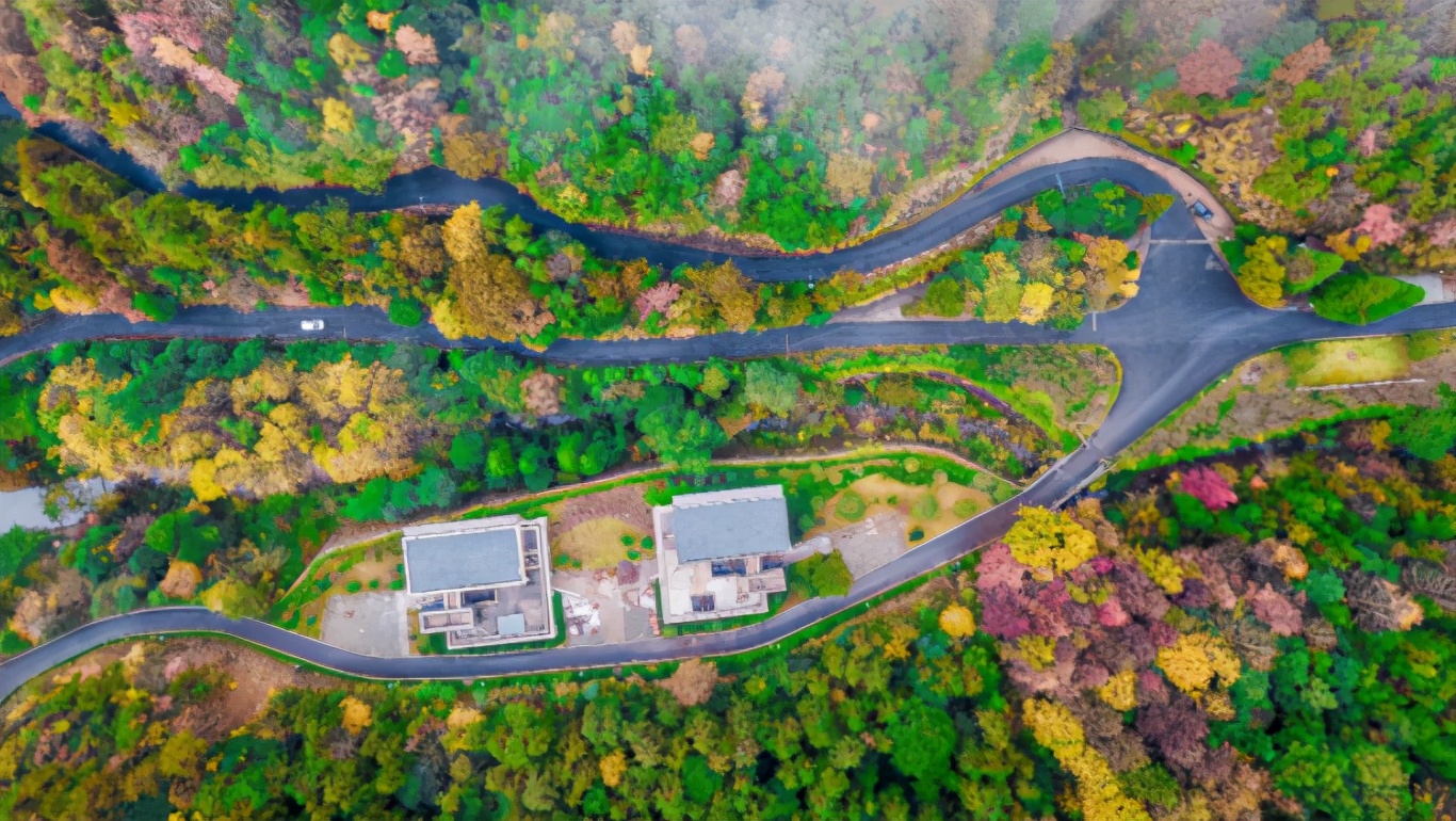 丽水上热搜,浙江丽水现萤火虫星海