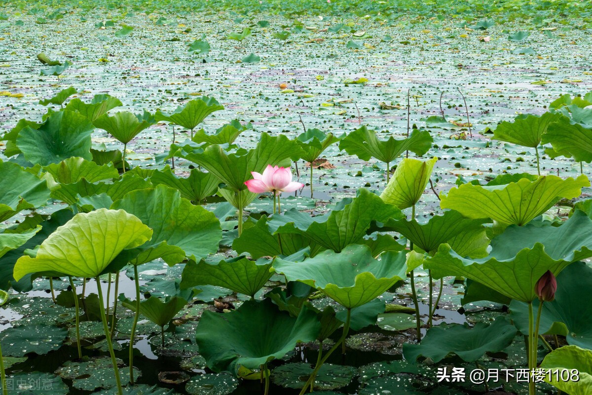 常宁市培元塔周边规划,常宁培元塔的历史