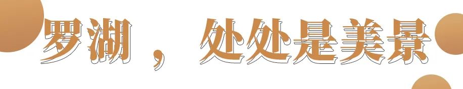 罗湖区的名气大吗,带你了解罗湖