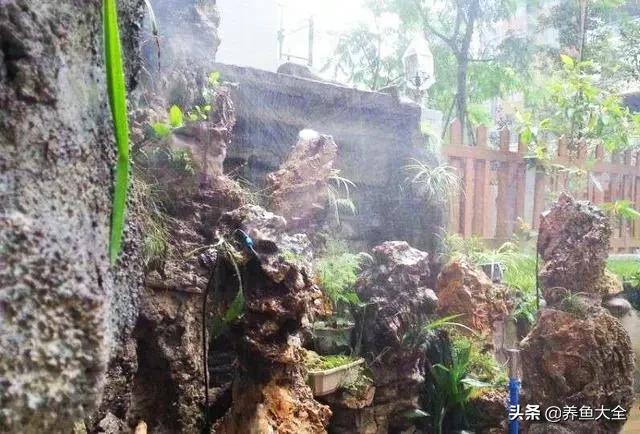 小桥流水制作全过程,小桥流水鱼缸造景技巧