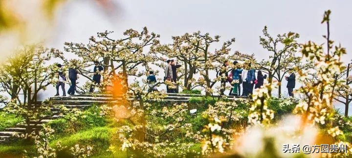 贵州清凉一日游,贵州黔南春季旅游攻略