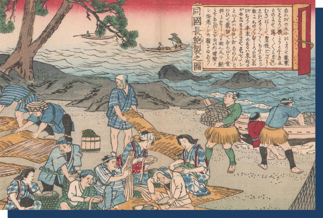 干鲍有多贵,干鲍为什么那么贵